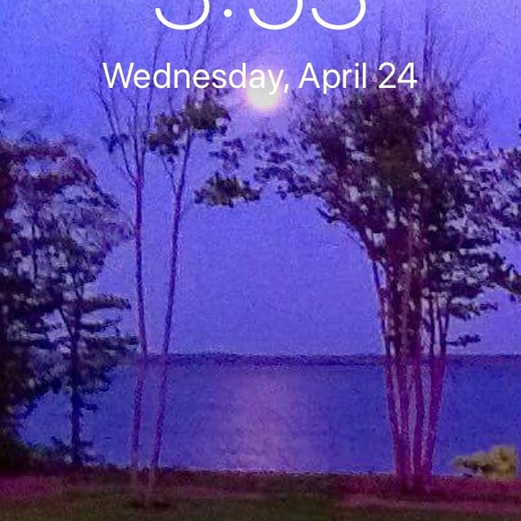 Meet your Posher, Daniel - Picture 1 of 1